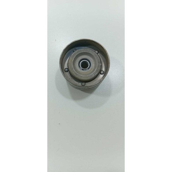 Polia Correia Alternador Voyage 1.6 Gol G5 G6 G7 G8